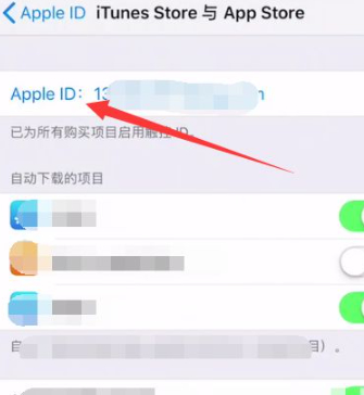 苹果扣费订阅怎么关闭第4步