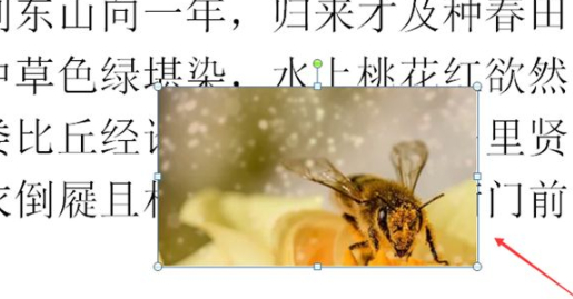 ppt四周环绕型在哪里设置第4步