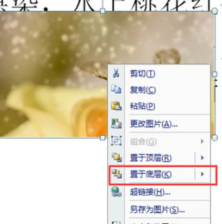 ppt四周环绕型在哪里设置第5步