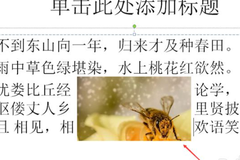 ppt四周环绕型在哪里设置第6步