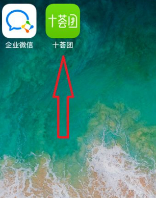 十荟团怎样开通团长第1步