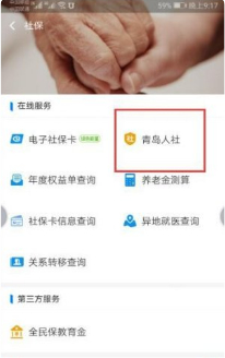 社保清单网上怎么查询第5步