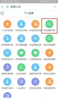社保清单网上怎么查询第7步