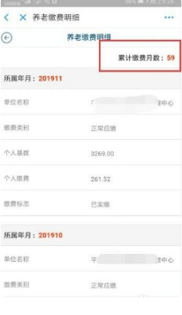 社保清单网上怎么查询第8步