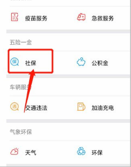 养老保险微信怎么交费第4步