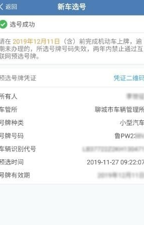 手机摇号怎么摇车牌号?第6步