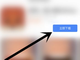 怎么绕开苹果商店下载第6步