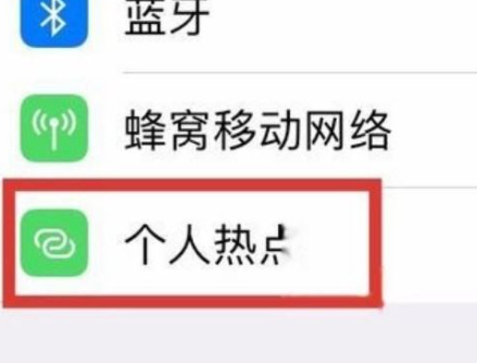苹果11个人热点无法使用第2步