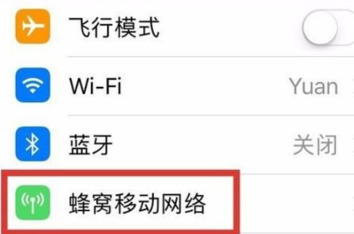 苹果11个人热点无法使用第5步