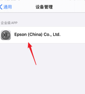 ios14.3设备管理信任不见了第4步
