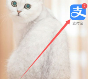 直接输入车牌号查违章第1步