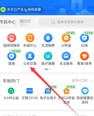 直接输入车牌号查违章第3步