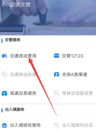 直接输入车牌号查违章第4步