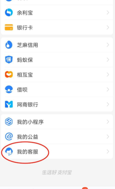 支付宝无纸化阅读能量怎么刷第3步