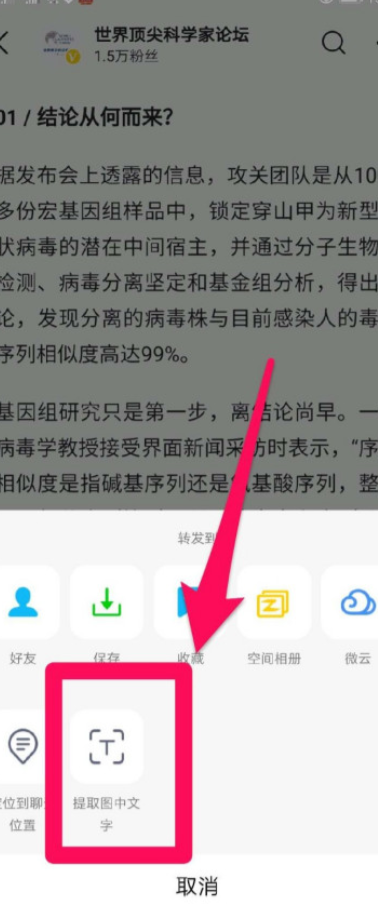 怎么拍照转换为文字第3步