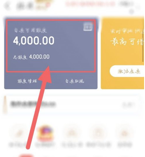 京东打白条怎么关闭白条第2步