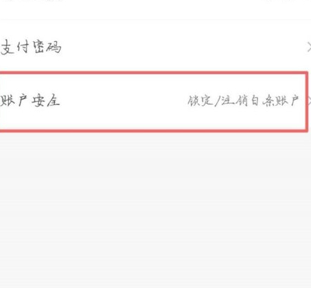 京东打白条怎么关闭白条第4步