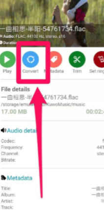 手机能把flac转mp3吗第5步
