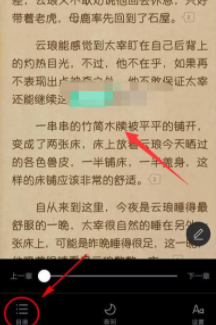 起点读书怎么调出目录第3步