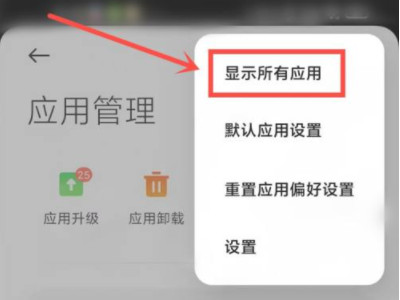 小米怎么清除电池与性能数据第4步
