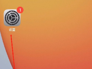 苹果手机大于200m怎么用流量下载第1步