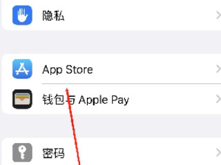 苹果手机大于200m怎么用流量下载第2步