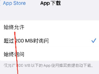 苹果手机大于200m怎么用流量下载第4步