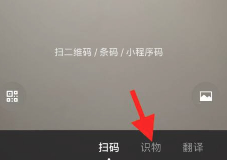 苹果微信没有识物功能第3步