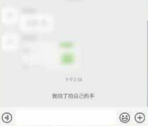 微信拍一拍别人怎么加字第5步