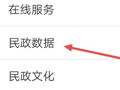 怎么在手机上查农村低保第2步