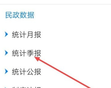 怎么在手机上查农村低保第3步
