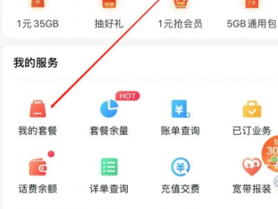 套餐外上网费怎么取消第2步