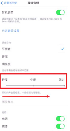 iphone12声音小第5步