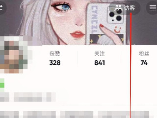 抖音怎么显示全部浏览者第3步