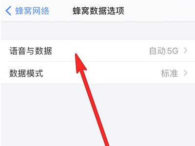 怎么看手机是不是5g第3步