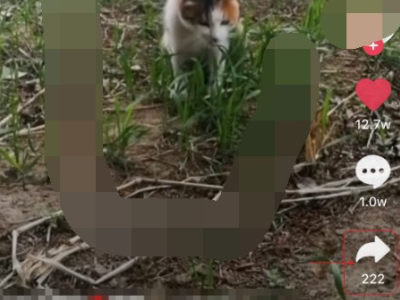 为什么抖音不能分享到微信了第1步