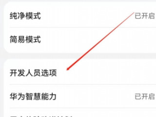 荣耀变成黑白怎么恢复第2步