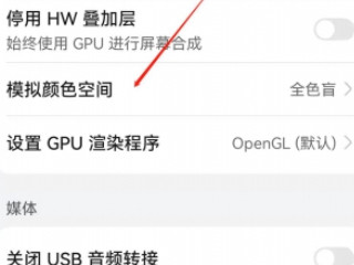 荣耀变成黑白怎么恢复第3步