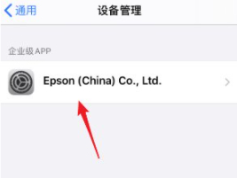 ios14.4设备管理信任不见了第4步