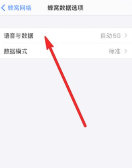 苹果124g5g怎么切换第4步