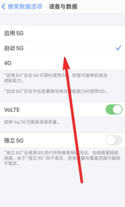 苹果124g5g怎么切换第5步