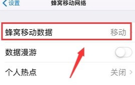 苹果11突然只显示一张卡第3步