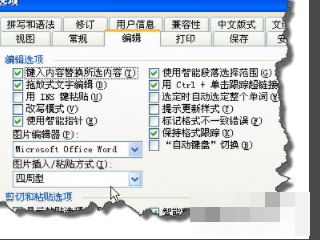 word批量调整图片大小第2步