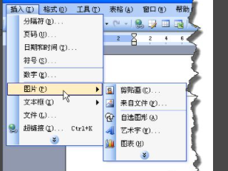 word批量调整图片大小第3步
