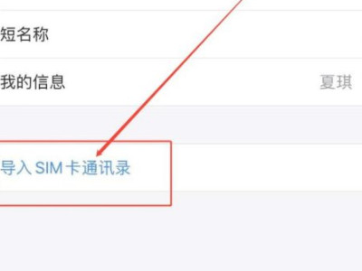 苹果手机怎么显示手机卡的联系人第3步