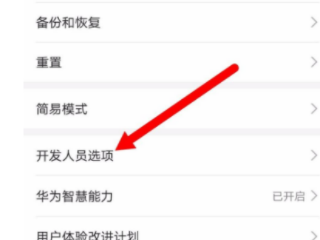 华为手机突然没有色彩第3步