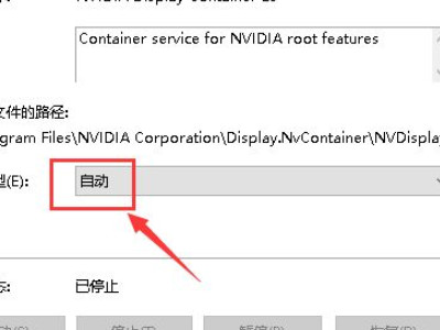 nvidia控制面板找不到了第5步