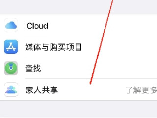 苹果家人共享怎么设置第3步