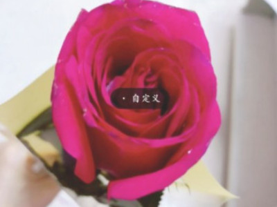 抠图怎么操作第4步