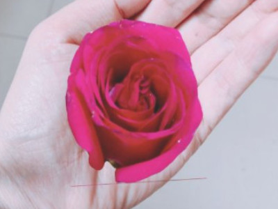 抠图怎么操作第7步